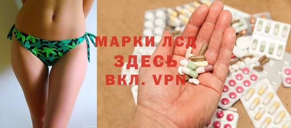 прущие грибы Алексеевка