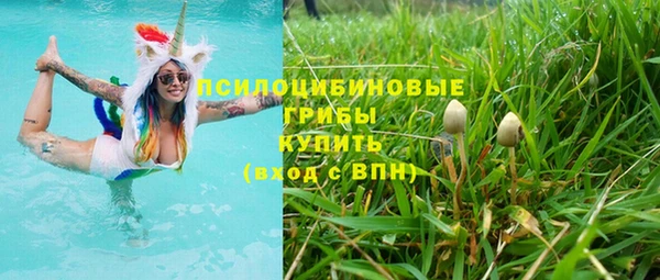 2c-b Армянск