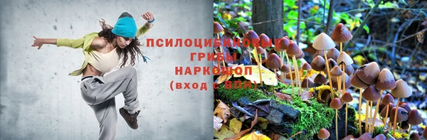 прущие грибы Алексеевка