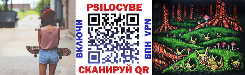 что такое   Волхов  Галлюциногенные грибы MAGIC MUSHROOMS 