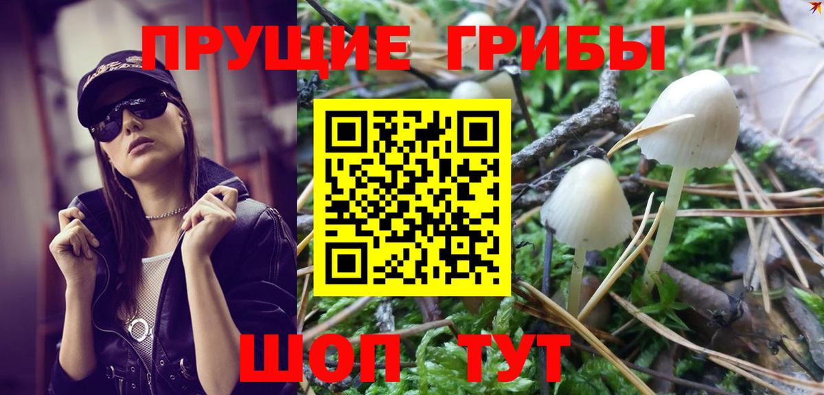 Галлюциногенные грибы GOLDEN TEACHER Волхов