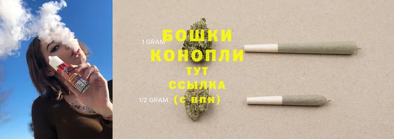 наркота  Волхов  Канабис THC 21% 