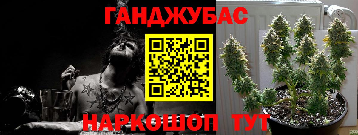 Каннабис марихуана Волхов