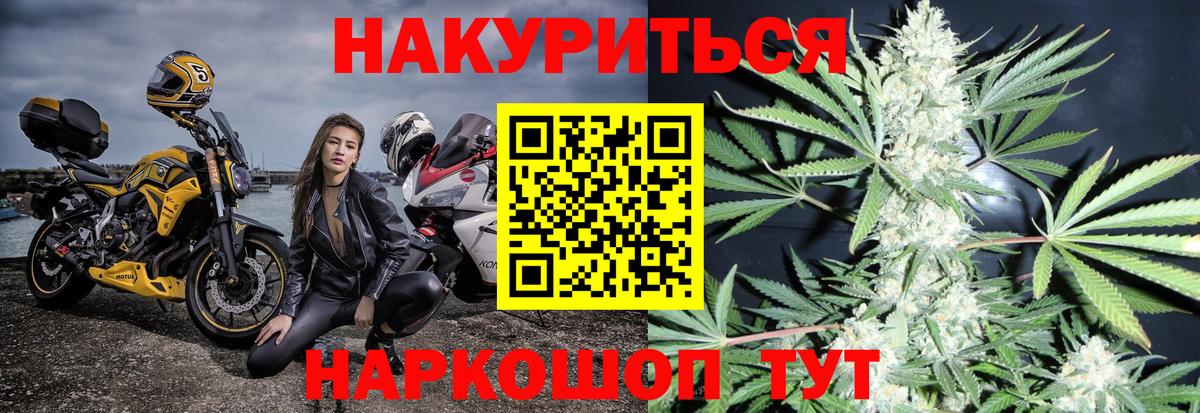 Волхов  Шишки марихуана Bruce Banner  Вход с VPN  Бошки Шишки Ganja  Бошки Шишки сатива 